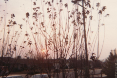 PhayFamilyAlbum-3-028