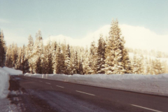 PhayFamilyAlbum-3-034