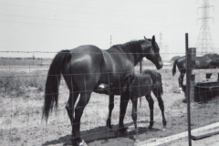 PhayFamilyAlbum-3-041