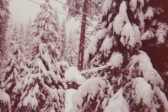 PhayFamilyAlbum-3-063