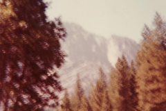 PhayFamilyAlbum-3-081