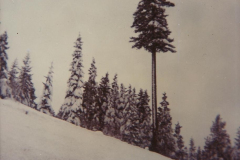 PhayFamilyAlbum-3-096