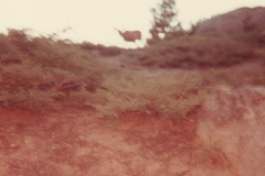 PhayFamilyAlbum-3-097