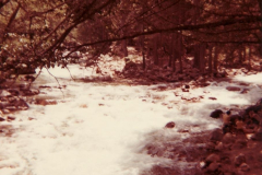 PhayFamilyAlbum-3-102