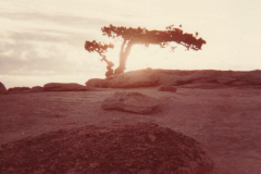 PhayFamilyAlbum-3-105