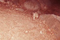 PhayFamilyAlbum-3-113