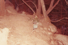 PhayFamilyAlbum-3-114