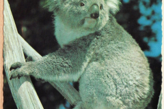 PhayFamilyAlbum-5-07