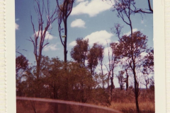 PhayFamilyAlbum-5-10