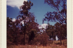 PhayFamilyAlbum-5-11