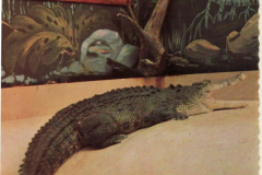 PhayFamilyAlbum-5-14