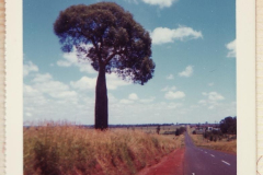 PhayFamilyAlbum-5-17