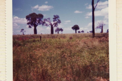 PhayFamilyAlbum-5-18