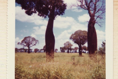 PhayFamilyAlbum-5-19