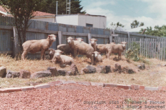 PhayFamilyAlbum-7-035