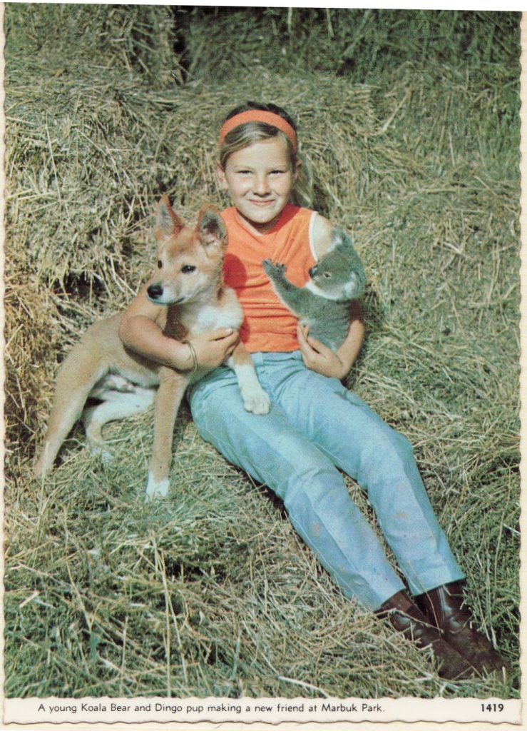 Richard Vernon Phay Family Album #5