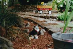 07-11-2025-Roll-II-Kodak-Porta-Photo-1