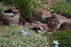 07-11-2025-Roll-II-Kodak-Porta-Photo-2