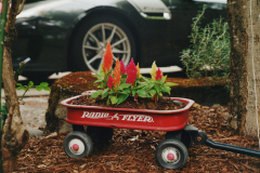 07-11-2025-Roll-II-Kodak-Porta-Photo-5