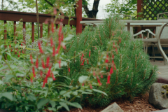 07-11-2025-Roll-II-Kodak-Porta-Photo-8