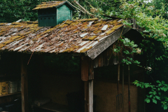 07-11-2025-Roll-II-Kodak-Porta-Photo-9