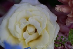 Charity-and-Caleb-Phay-Wedding-0038