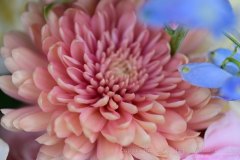 Charity-and-Caleb-Phay-Wedding-0039