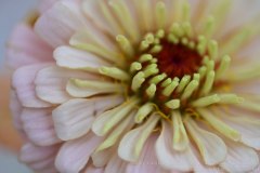 Charity-and-Caleb-Phay-Wedding-0042