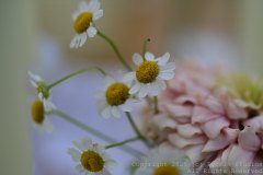 Charity-and-Caleb-Phay-Wedding-0045