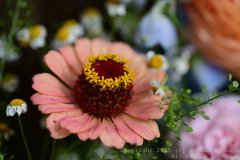 Charity-and-Caleb-Phay-Wedding-0055