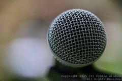 Charity-and-Caleb-Phay-Wedding-0068