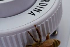 Charity-and-Caleb-Phay-Wedding-1226