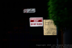 10-10-2025-Photo-Shoot-at-the-Bar-0078