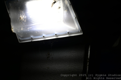 10-10-2025-Photo-Shoot-at-the-Bar-0097