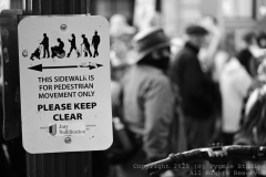 10-18-2025-NoKingProtest-0117