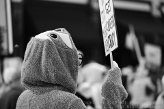 10-18-2025-NoKingProtest-0172