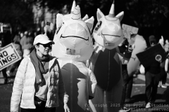 10-18-2025-NoKingProtest-0229
