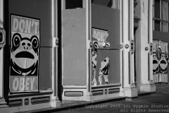 10-18-2025-NoKingProtest-0466