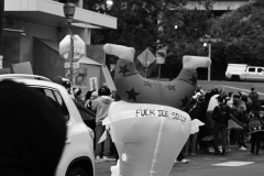 10-18-2025-NoKingProtest-1046