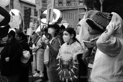 10-18-2025-NoKingProtest-1080