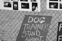 10-18-2025-NoKingProtest-1125