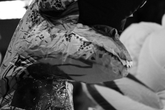 10-18-2025-NoKingProtest-1476