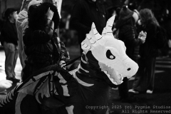 10-18-2025-NoKingProtest-1706