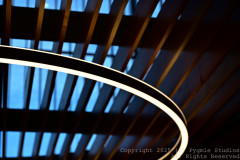 09-27-2024-Austin-Trip-0003