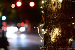 09-27-2024-Austin-Trip-0552