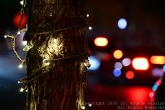 09-27-2024-Austin-Trip-0554