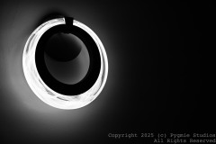 09-28-2024-Austin-Trip-0606