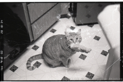 Slide-20251128_23491325