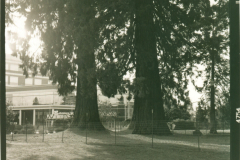 12-2024-Roll-i-Ilford-HP5-Plus-Photo-12