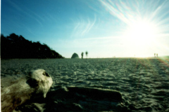 Zero-Main-Pinhole-12-16-2024-Misc-Canon-Beach-Kodak-Portra-400-9